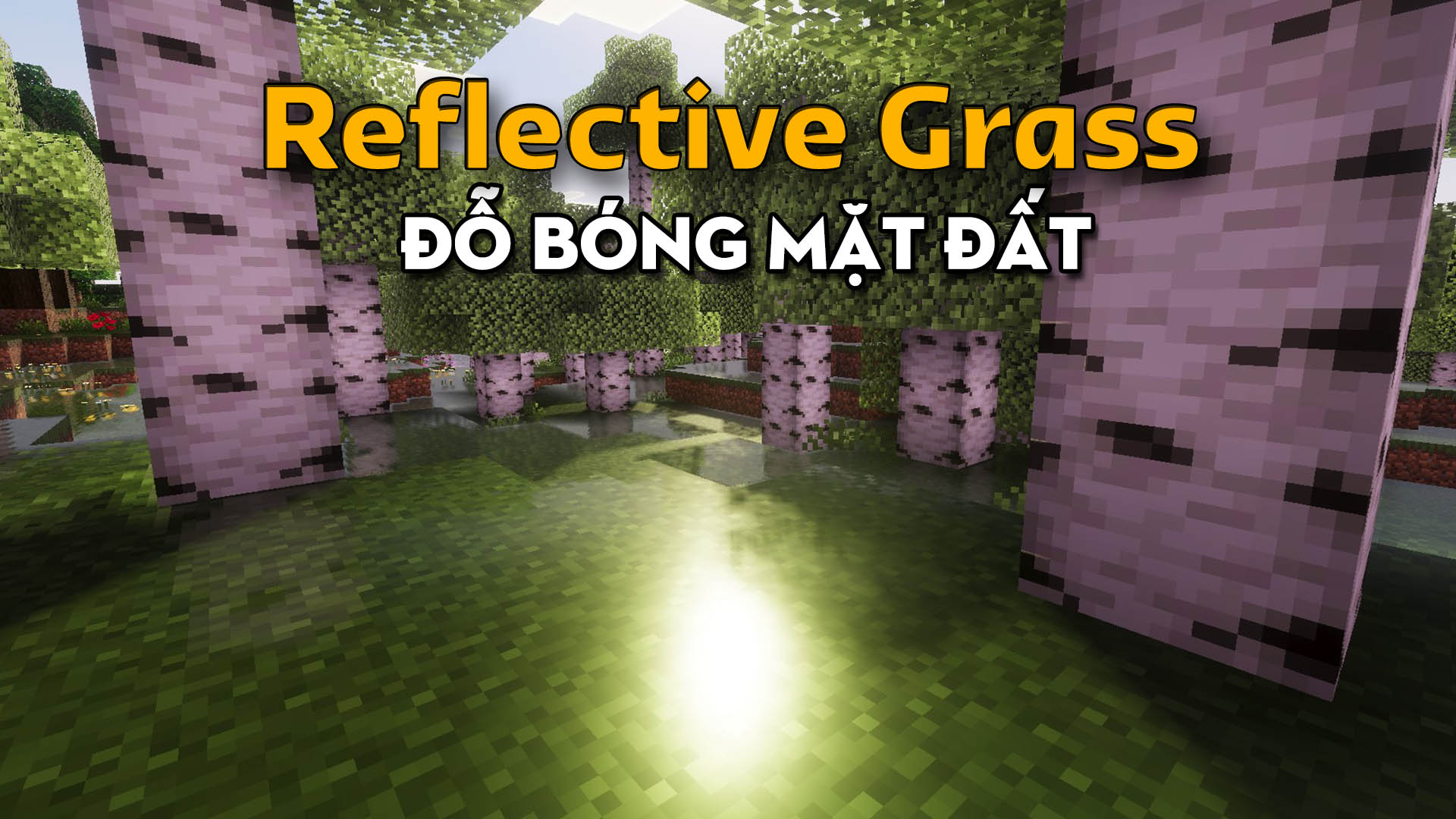 Resourcepack Reflective Grass – MCPE/Bedrock