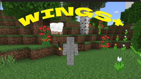Addon Wings – MCPE/Bedrock Download